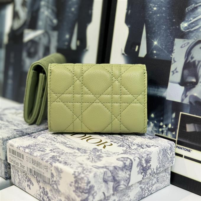 2025228Y 220P182145286